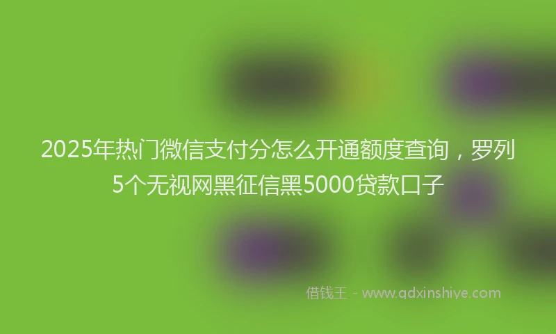 2025年热门微信支付分怎么开通额度查询，罗列5个无视网黑征信黑5000贷款口子