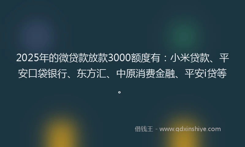 2025年的微贷款放款3000额度有：小米贷款、平安口袋银行、东方汇、中原消费金融、平安i贷等。