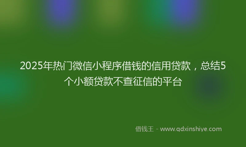 2025年热门微信小程序借钱的信用贷款，总结5个小额贷款不查征信的平台