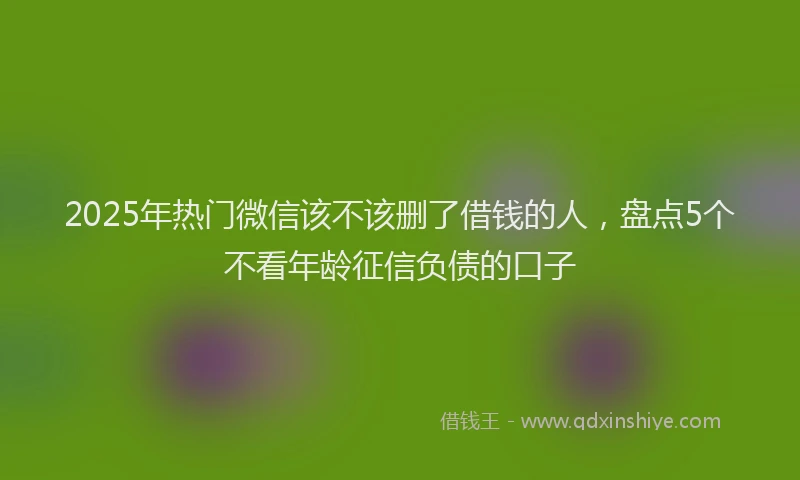 2025年热门微信该不该删了借钱的人，盘点5个不看年龄征信负债的口子