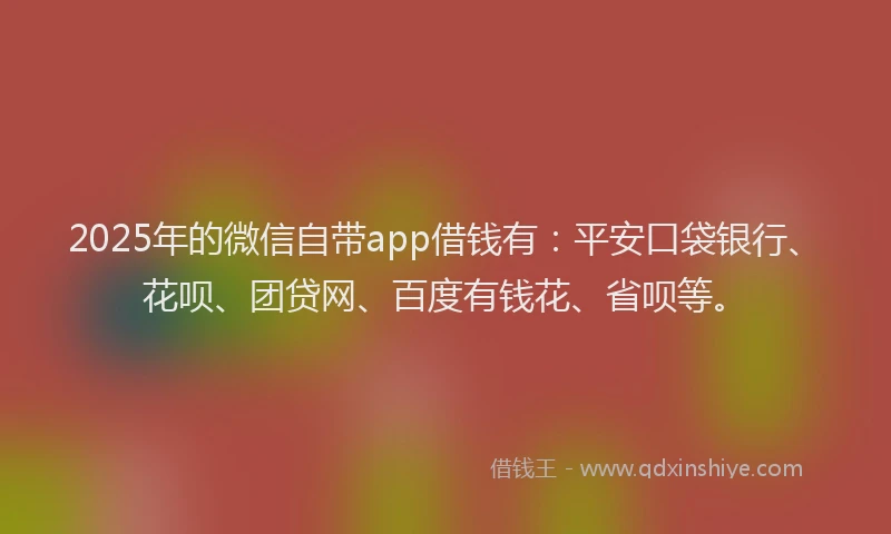 2025年的微信自带app借钱有：平安口袋银行、花呗、团贷网、百度有钱花、省呗等。