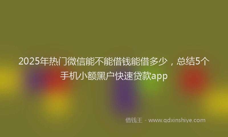 2025年热门微信能不能借钱能借多少，总结5个手机小额黑户快速贷款app