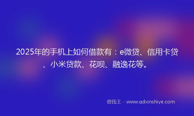 2025年的手机上如何借款有：e微贷、信用卡贷、小米贷款、花呗、融逸花等。