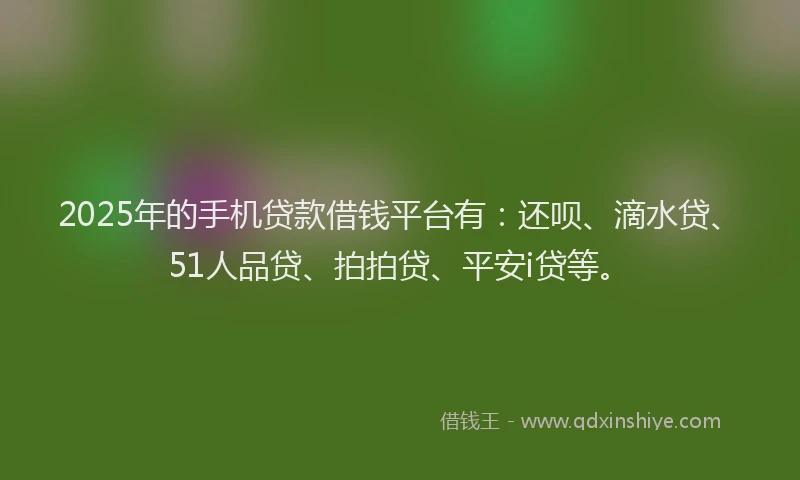 2025年的手机贷款借钱平台有：还呗、滴水贷、51人品贷、拍拍贷、平安i贷等。