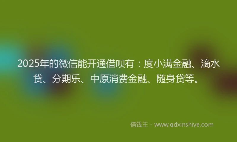 2025年的微信能开通借呗有：度小满金融、滴水贷、分期乐、中原消费金融、随身贷等。