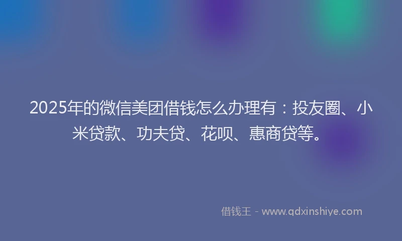 2025年的微信美团借钱怎么办理有：投友圈、小米贷款、功夫贷、花呗、惠商贷等。