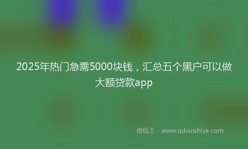 2025年热门急需5000块钱，汇总五个黑户可以做大额贷款app