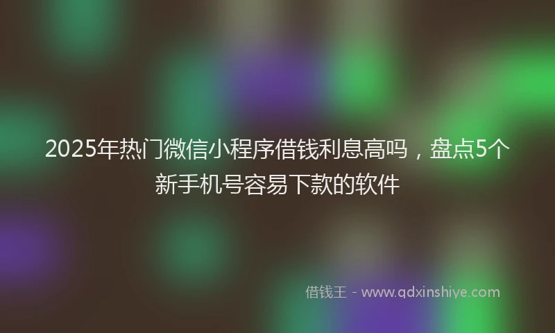2025年热门微信小程序借钱利息高吗，盘点5个新手机号容易下款的软件