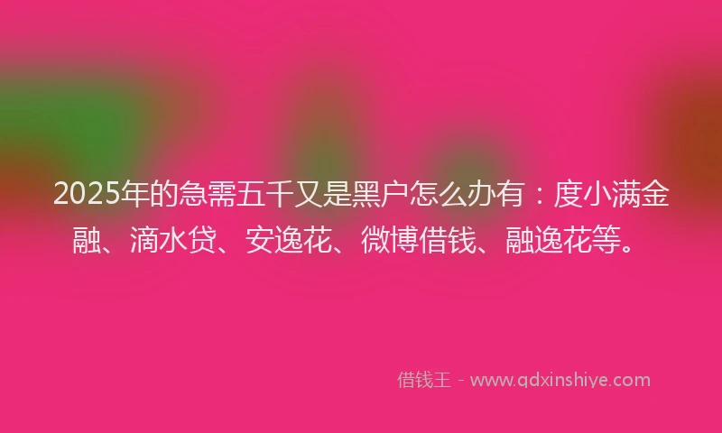 2025年的急需五千又是黑户怎么办有：度小满金融、滴水贷、安逸花、微博借钱、融逸花等。