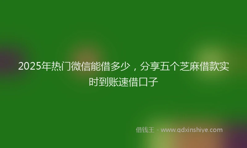 2025年热门微信能借多少，分享五个芝麻借款实时到账速借口子