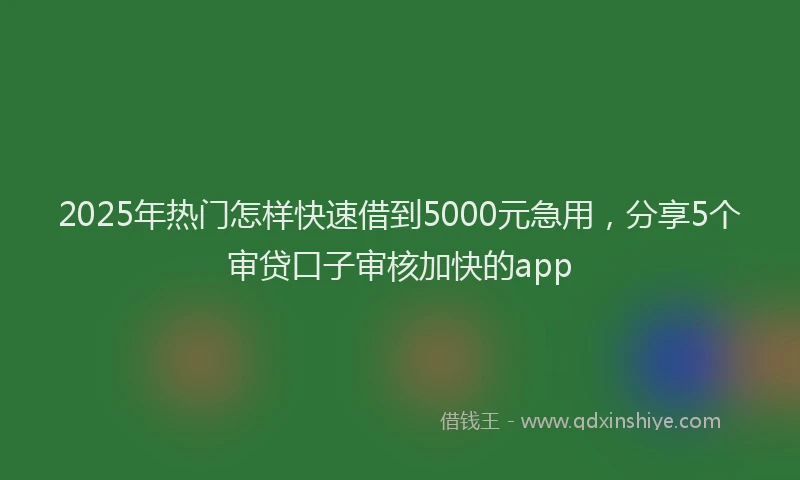 2025年热门怎样快速借到5000元急用，分享5个审贷口子审核加快的app