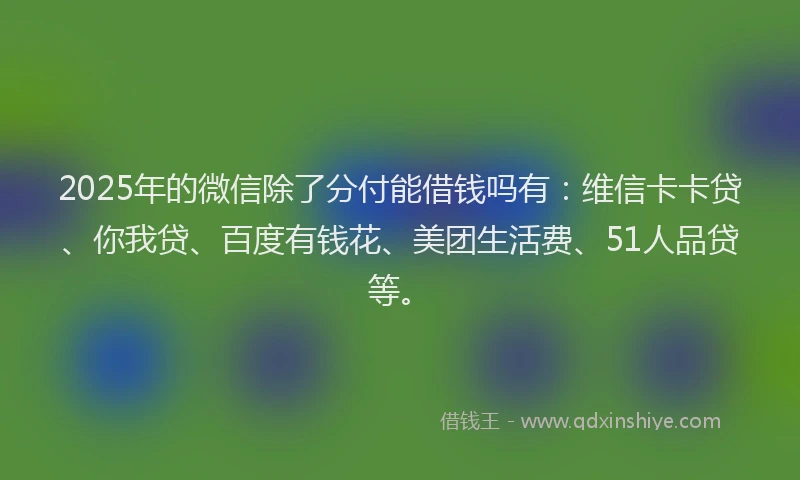 2025年的微信除了分付能借钱吗有：维信卡卡贷、你我贷、百度有钱花、美团生活费、51人品贷等。