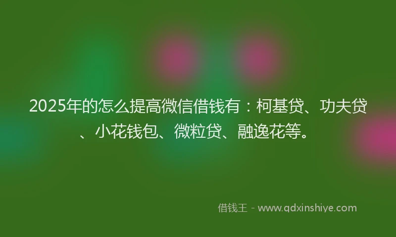 2025年的怎么提高微信借钱有：柯基贷、功夫贷、小花钱包、微粒贷、融逸花等。