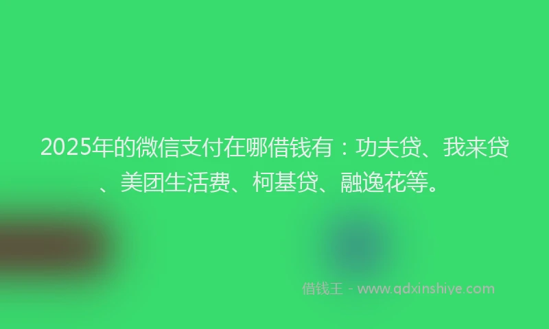 2025年的微信支付在哪借钱有：功夫贷、我来贷、美团生活费、柯基贷、融逸花等。