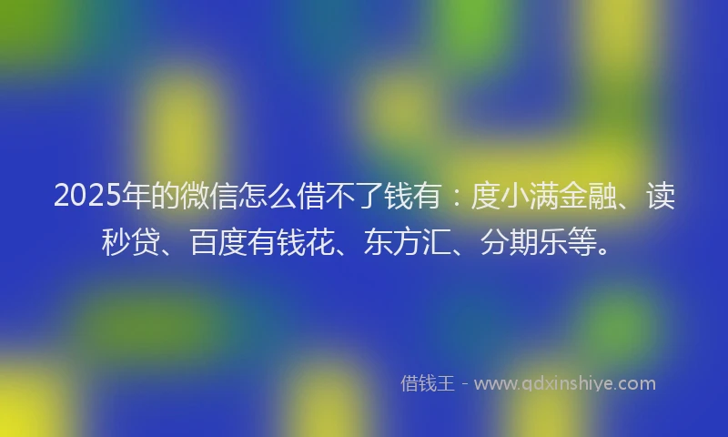 2025年的微信怎么借不了钱有：度小满金融、读秒贷、百度有钱花、东方汇、分期乐等。
