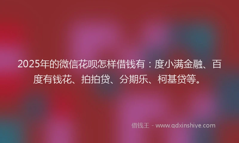 2025年的微信花呗怎样借钱有：度小满金融、百度有钱花、拍拍贷、分期乐、柯基贷等。