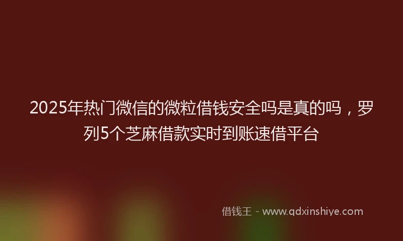 2025年热门微信的微粒借钱安全吗是真的吗，罗列5个芝麻借款实时到账速借平台