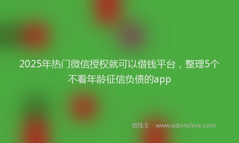 2025年热门微信授权就可以借钱平台，整理5个不看年龄征信负债的app