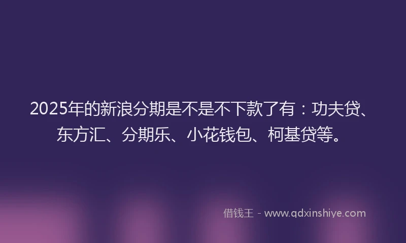 2025年的新浪分期是不是不下款了有：功夫贷、东方汇、分期乐、小花钱包、柯基贷等。
