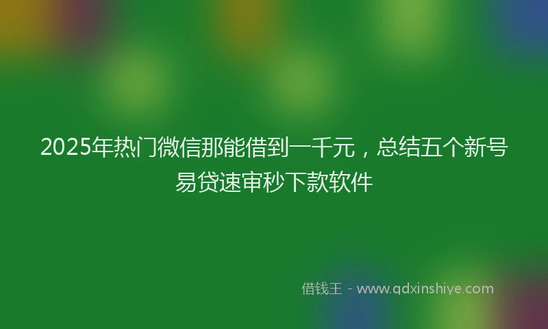 2025年热门微信那能借到一千元，总结五个新号易贷速审秒下款软件