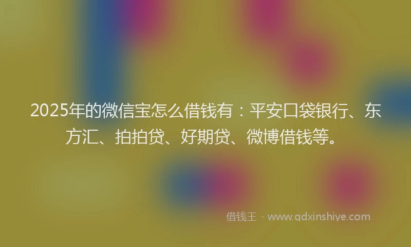 2025年的微信宝怎么借钱有：平安口袋银行、东方汇、拍拍贷、好期贷、微博借钱等。