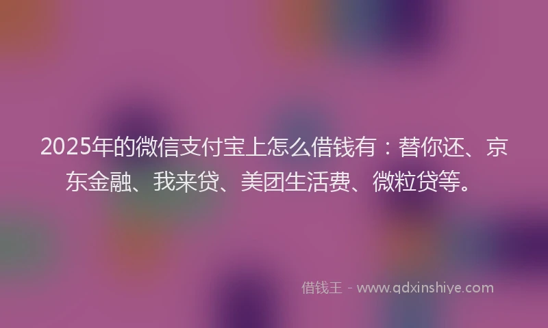 2025年的微信支付宝上怎么借钱有：替你还、京东金融、我来贷、美团生活费、微粒贷等。