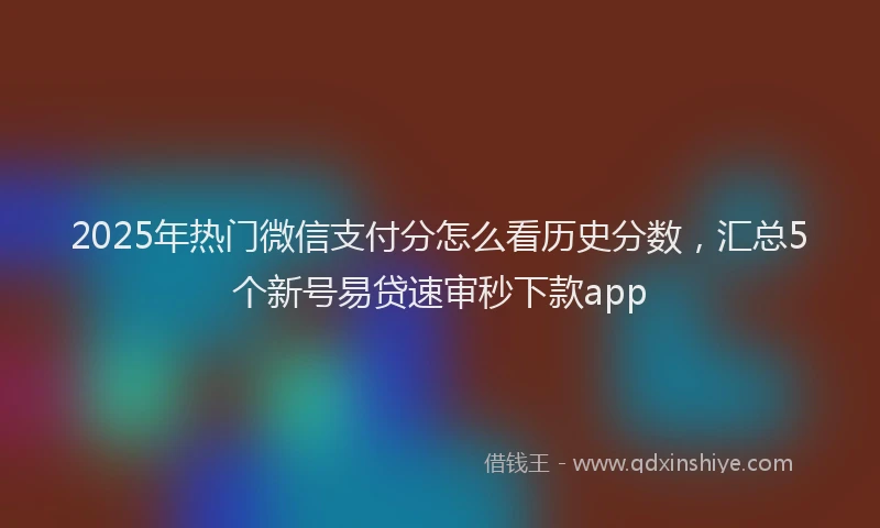 2025年热门微信支付分怎么看历史分数，汇总5个新号易贷速审秒下款app