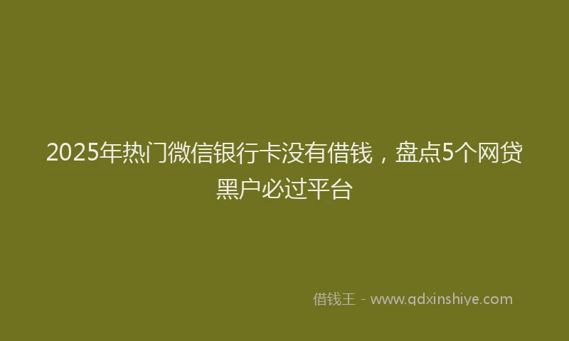 2025年热门微信银行卡没有借钱，盘点5个网贷黑户必过平台