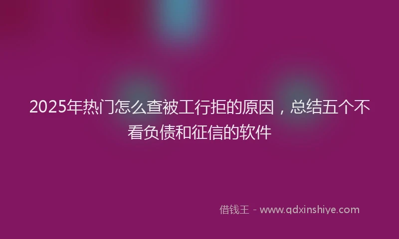 2025年热门怎么查被工行拒的原因，总结五个不看负债和征信的软件