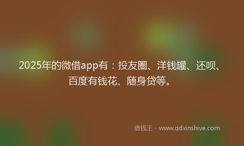 2025年的微借app有：投友圈、洋钱罐、还呗、百度有钱花、随身贷等。