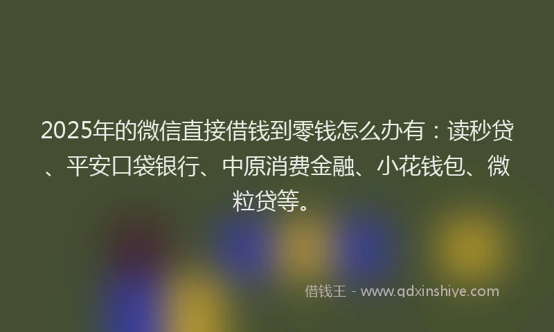2025年的微信直接借钱到零钱怎么办有：读秒贷、平安口袋银行、中原消费金融、小花钱包、微粒贷等。