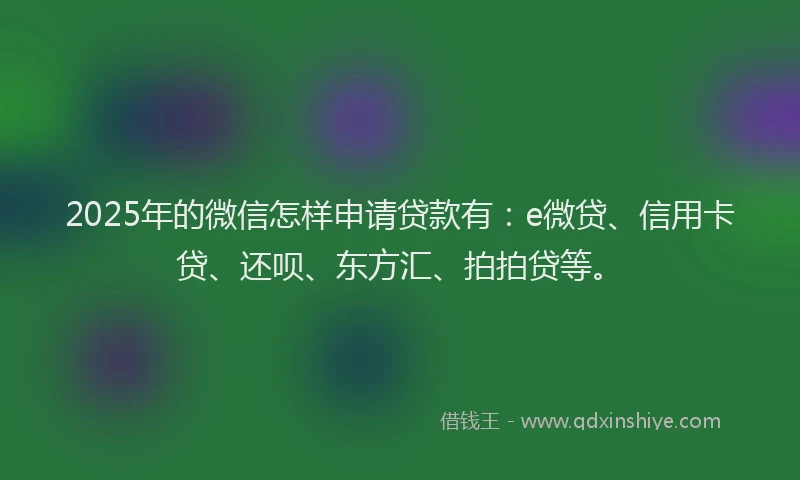 2025年的微信怎样申请贷款有：e微贷、信用卡贷、还呗、东方汇、拍拍贷等。