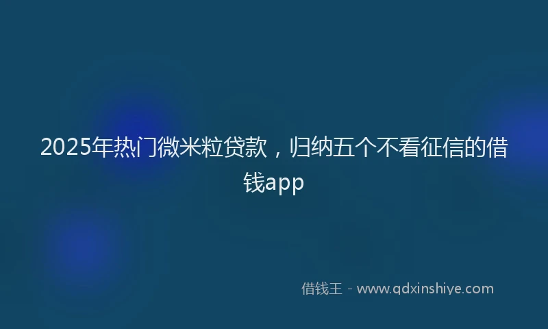 2025年热门微米粒贷款，归纳五个不看征信的借钱app