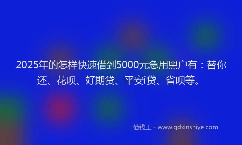 2025年的怎样快速借到5000元急用黑户有：替你还、花呗、好期贷、平安i贷、省呗等。