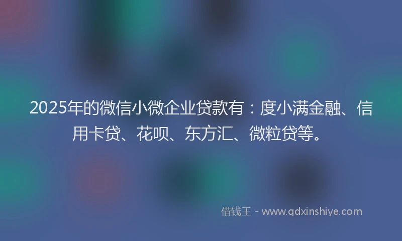 2025年的微信小微企业贷款有：度小满金融、信用卡贷、花呗、东方汇、微粒贷等。