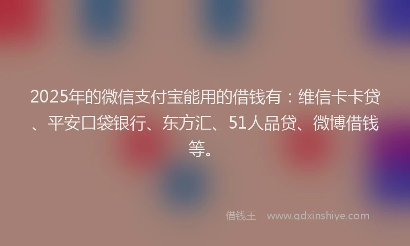 2025年的微信支付宝能用的借钱有：维信卡卡贷、平安口袋银行、东方汇、51人品贷、微博借钱等。