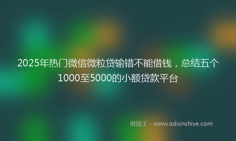 2025年热门微信微粒贷输错不能借钱，总结五个1000至5000的小额贷款平台