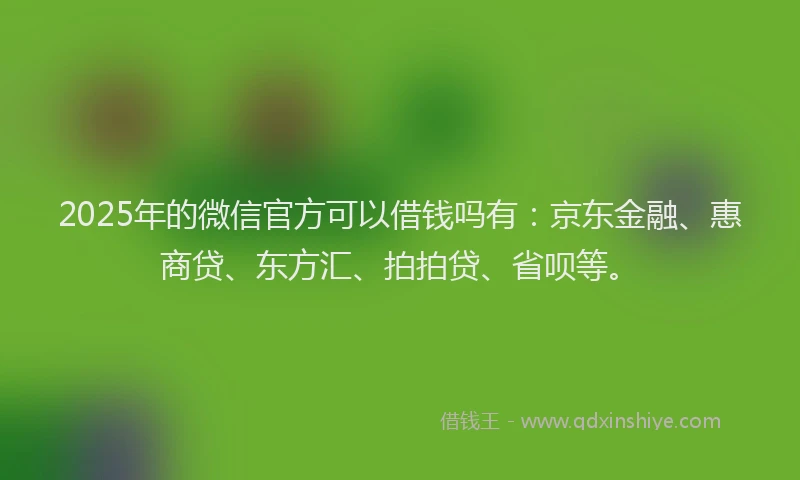 2025年的微信官方可以借钱吗有：京东金融、惠商贷、东方汇、拍拍贷、省呗等。
