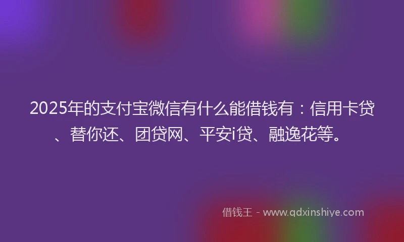 2025年的支付宝微信有什么能借钱有：信用卡贷、替你还、团贷网、平安i贷、融逸花等。