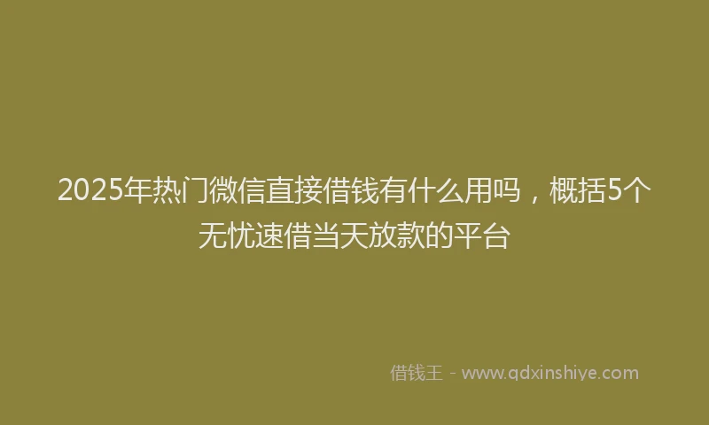 2025年热门微信直接借钱有什么用吗，概括5个无忧速借当天放款的平台