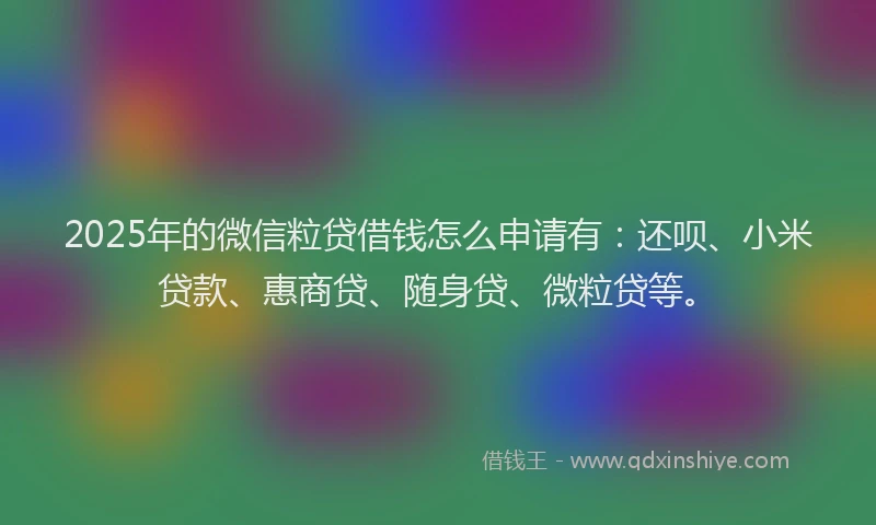 2025年的微信粒贷借钱怎么申请有：还呗、小米贷款、惠商贷、随身贷、微粒贷等。