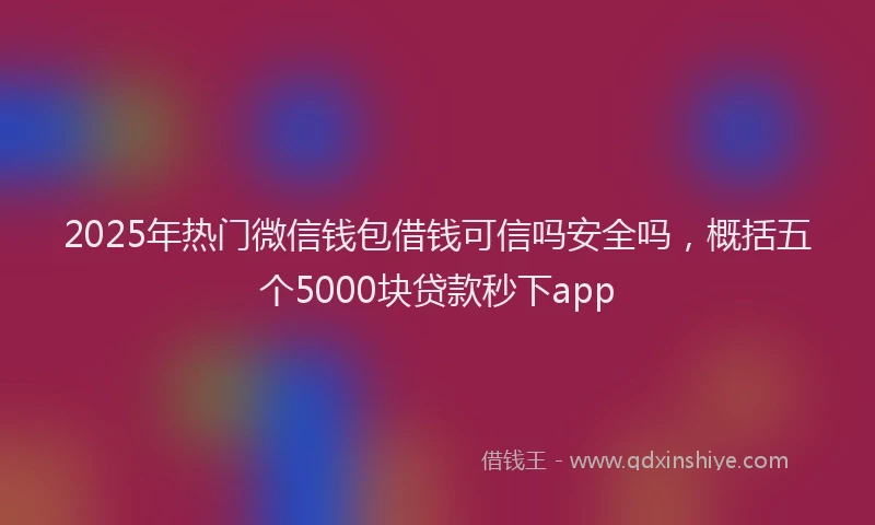 2025年热门微信钱包借钱可信吗安全吗，概括五个5000块贷款秒下app