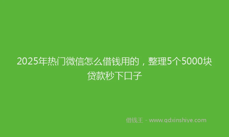 2025年热门微信怎么借钱用的，整理5个5000块贷款秒下口子