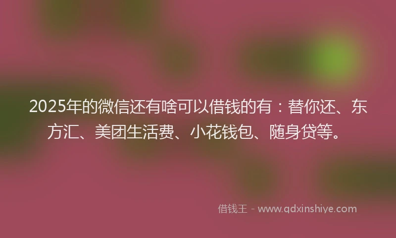 2025年的微信还有啥可以借钱的有：替你还、东方汇、美团生活费、小花钱包、随身贷等。