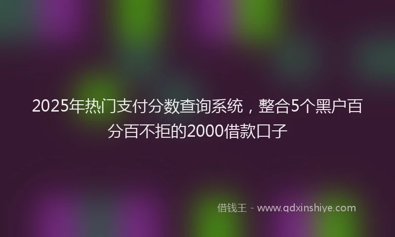2025年热门支付分数查询系统，整合5个黑户百分百不拒的2000借款口子