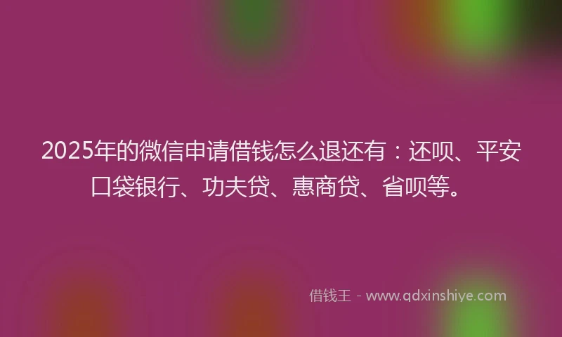 2025年的微信申请借钱怎么退还有：还呗、平安口袋银行、功夫贷、惠商贷、省呗等。