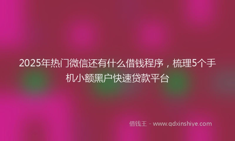 2025年热门微信还有什么借钱程序，梳理5个手机小额黑户快速贷款平台