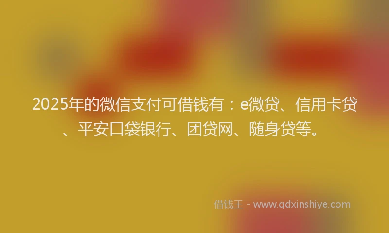 2025年的微信支付可借钱有：e微贷、信用卡贷、平安口袋银行、团贷网、随身贷等。