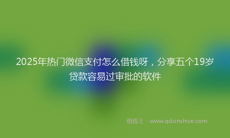 2025年热门微信支付怎么借钱呀，分享五个19岁贷款容易过审批的软件