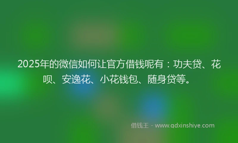 2025年的微信如何让官方借钱呢有：功夫贷、花呗、安逸花、小花钱包、随身贷等。